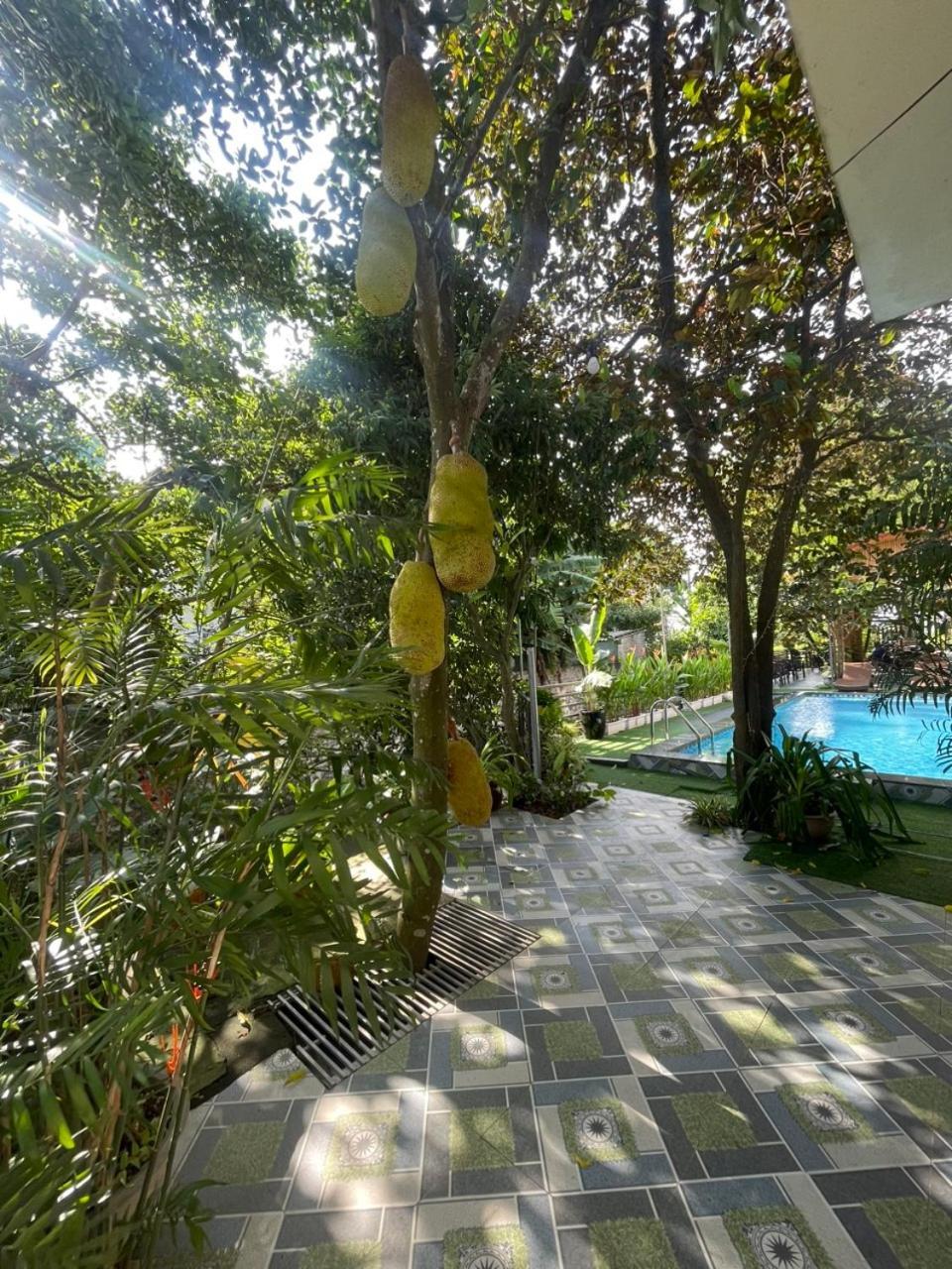 Tam Coc Relax Homestay 닌빈 외부 사진